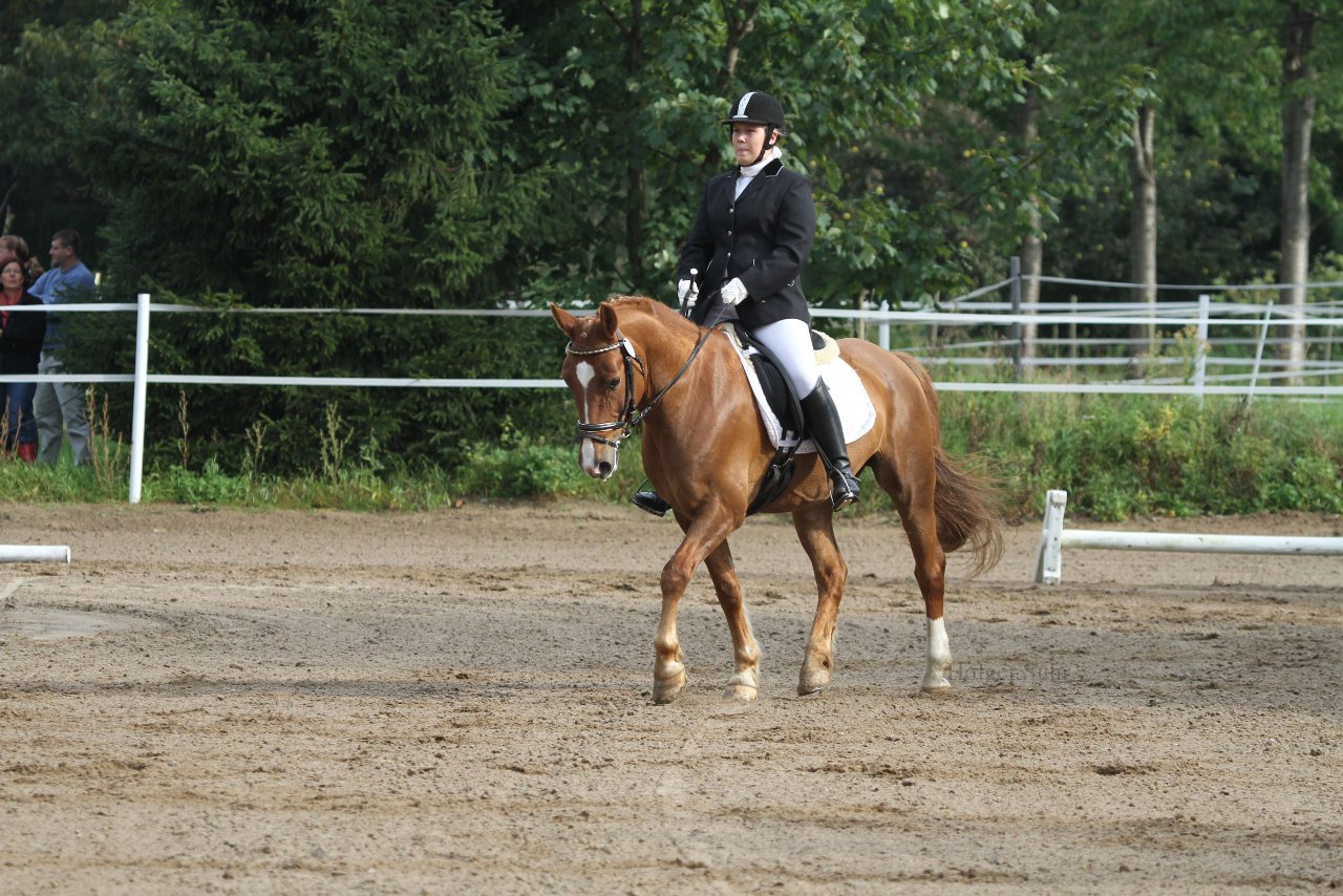 Bild 104 - WBO-Turnier am 18.9.11
